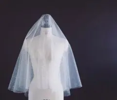 ウェディングベール スパンコール付き 手袋セット