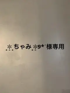 ₊✼̥₊ちゃみ₊✼̥୭*ˈ様専用