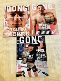 別冊ゴング　３冊と増刊号１冊セット 2026年最新】Yahoo!オークション -別冊 ゴングの中古品・新品・未使用