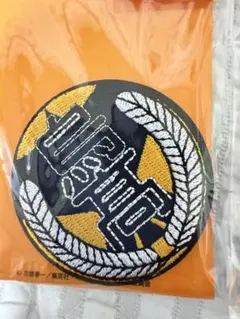 ハイキュー　バッジ　烏野高校