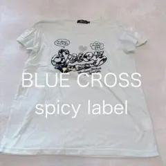 【美品】ブルークロス 半袖 Tシャツ ミント レースアップ 刺繍 LLのサムネイル