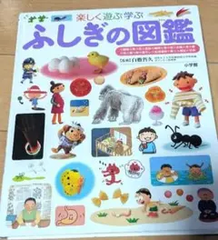 【最終値下げ】楽しく遊ぶ学ぶ ふしぎの図鑑