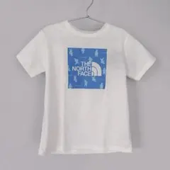 新品 ノースフェイス S/S SHIRETOKO TOKO TEE