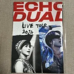 三代目JSB ECHOES of DUALITY 特典 ファブリックポスター