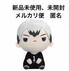 ハイキュー もちぴこ ぬいぐるみ マスコット 北信介 稲荷崎 ⑩ 2個セット