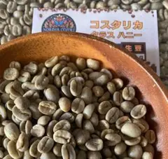 ラスト【コーヒー生豆】コスタリカ タラス ハニー 800gのサムネイル