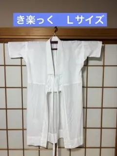 ☆新品☆洗える 長襦袢 熨斗と華紋 替袖付き 東レ 夏 メッシュ Lサイズ