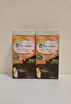 Bigen 香りのヘアカラー ナチュラリーブラウン 2セットのサムネイル
