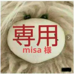 misa 様 専用　ぬいぐるみ　取り寄せ依頼品