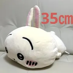 2026年最新】ちいかわだららんBIGぬいぐるみの人気アイテム - メルカリ