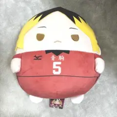 2025年最新】ふわコロりん big ハイキューの人気アイテム - メルカリ