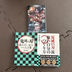鬼滅の刃関連書籍セット