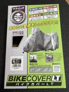 Item thumbnail for item 89cb9fcc-255f-46d1-8dce-8d16eff8177f