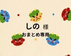 【しの様専用ページ】