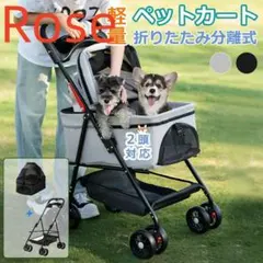 Item thumbnail for item 41e57a81-b4da-479a-91b2-baf7648b2847