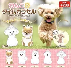 わんこのタイムカプセル　全５種 コンプリート ガチャ カプセルトイ