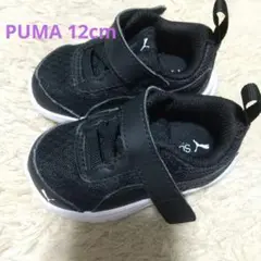 PUMA プーマ スニーカー ソフトフォーム プラス 12センチ