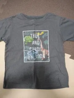 GLOBAL WORK　半袖　Tシャツ　120cm 恐竜