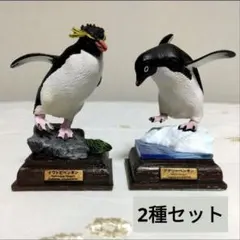 2025年最新】ネイチャーテクニカラー 南極の人気アイテム - メルカリ