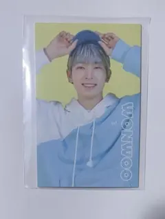 セブチ ウォヌ トレカ carat land 2020