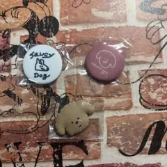 SaucyDog 缶バッジ、マグネット 3点セット