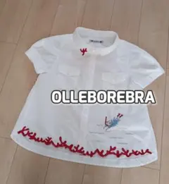 【ちーこ様専用】　　　OLLEBOREBRA　アルベロベロ　半袖ブラウスのサムネイル