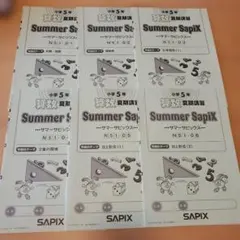 ㉒な 未記入美品 SAPIX サマーサピックス 2年 国語 夏期講習 - メルカリ