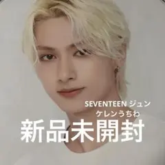 SEVENTEEN JUN ジュン CARAT LAND ケレン うちわ