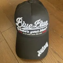ブルーブルーキャップのサムネイル