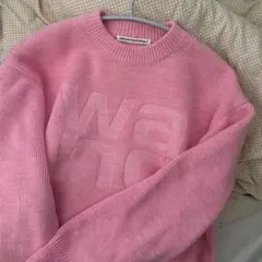 Alexanderwang ニット アレキ