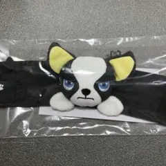 メルカリ最安！ジョジョの奇妙な冒険【渋谷限定　ぬいぐるみスリーブ　イギー】