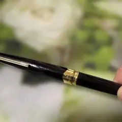 プラチナ万年筆 万年筆 18K WG 細字 ステンレス ストライプ 廃番 廃盤
