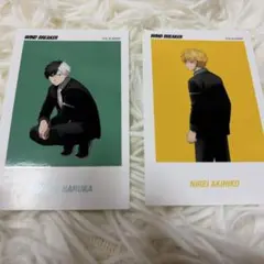 ウィンドブレーカー ベースヤードトーキョー ステッカー 桜＆楡井 セット