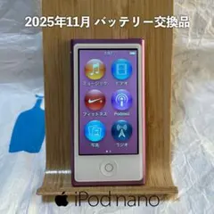 2025年最新】ipod nano 第7世代 16gbの人気アイテム - メルカリ