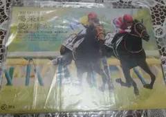 Item thumbnail for item e5e3ebe9-481d-4d9b-9ba2-e8cd6caabf09