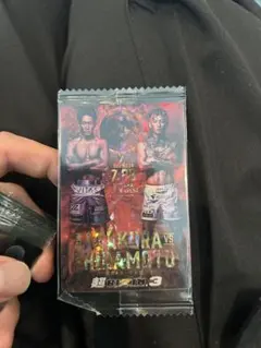 Item thumbnail for item 80eff226-3853-4c34-832e-e25e09f23082