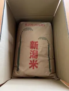 令和7年度 長野県松川村産コシヒカリ30kg玄米 - メルカリ