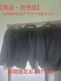 【完売・美品】Eve HARAPECOアウター3点＋【期間限定】ライブグッズのサムネイル