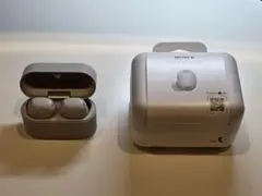WF-1000XM6 Questyle イヤーチップ 保護ケースセット - メルカリ