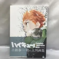 ハイキュー!! Complete Illustration book
