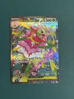 2026年最新】メガメガニウム ex SARの人気アイテム - メルカリ