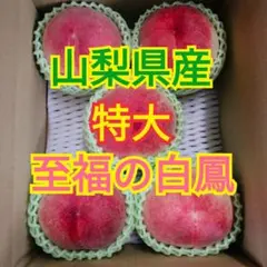 みーちゃん様 クール便 至福の白鳳 新鮮朝採り EM栽培 5kg箱 - メルカリ