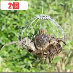 Item thumbnail for item 08e32e81-9a0f-4de0-9d81-e7ea1873d689