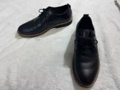 Item thumbnail for item dcbc5f8e-285c-499c-9f66-781661c636d5