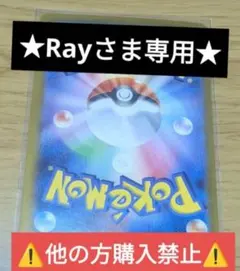 ★Rayさま専用★⚠️他の方購入禁止⚠️