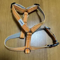 Item thumbnail for item a663981b-6637-4a20-8cfb-7a5b38702baf