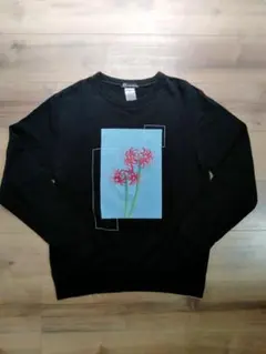 Item thumbnail for item cf27280d-3ec8-4eba-86d3-57d9442c4ec2