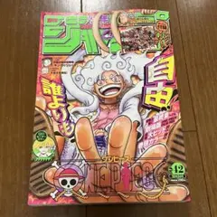 週刊少年ジャンプ 2022年 42号 ONE PIECE ニカ 表紙 付録付き - メルカリ