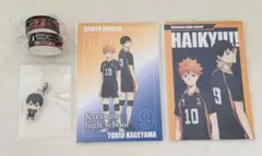 ハイキュー 烏野高校 日向翔陽 影山飛雄