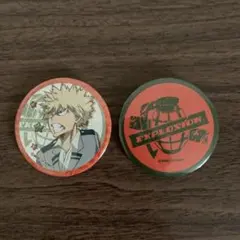 僕のヒーローアカデミア/爆豪勝己